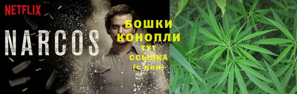 ALPHA-PVP Белокуриха